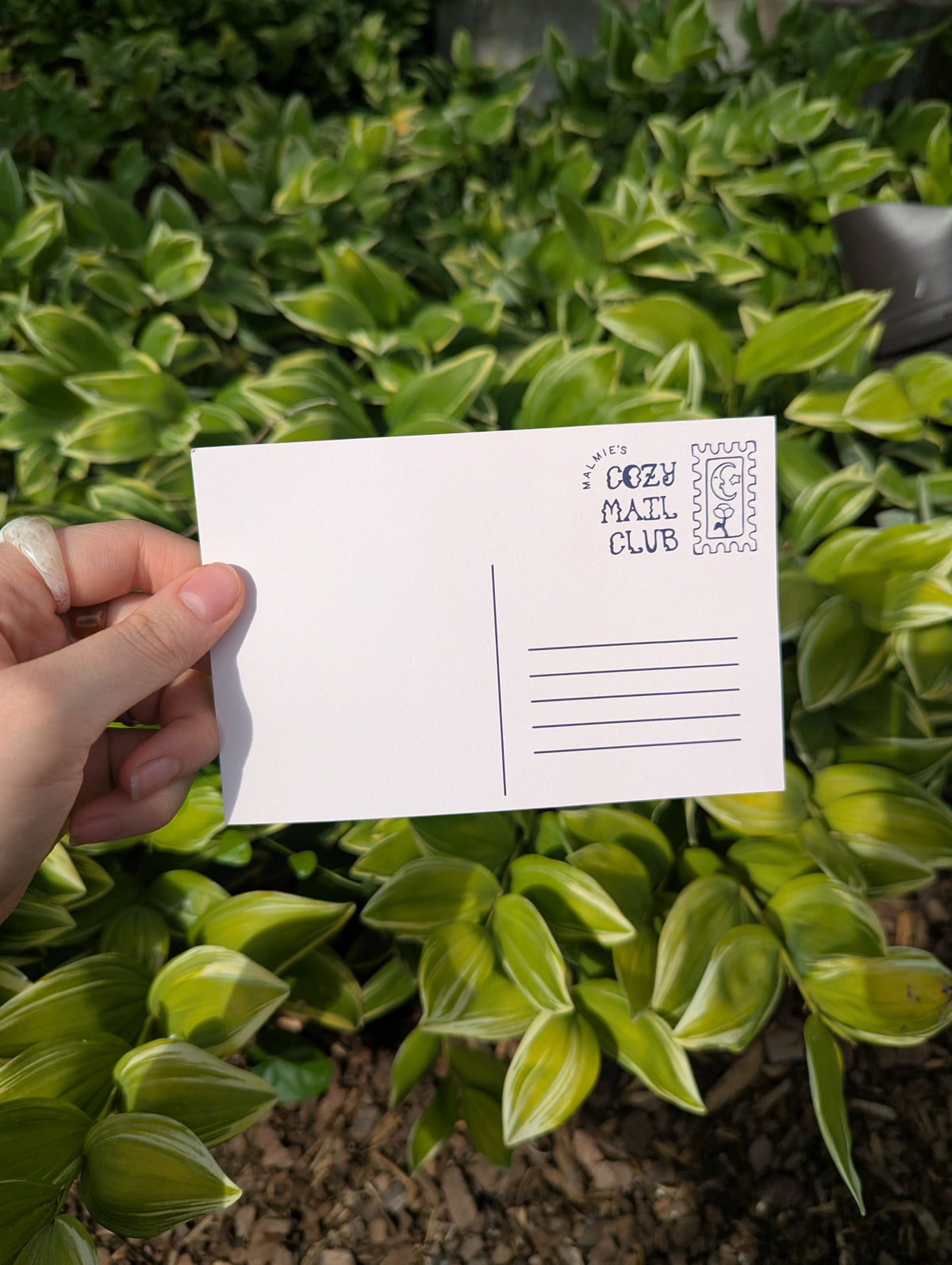 Time Teaches Postcard