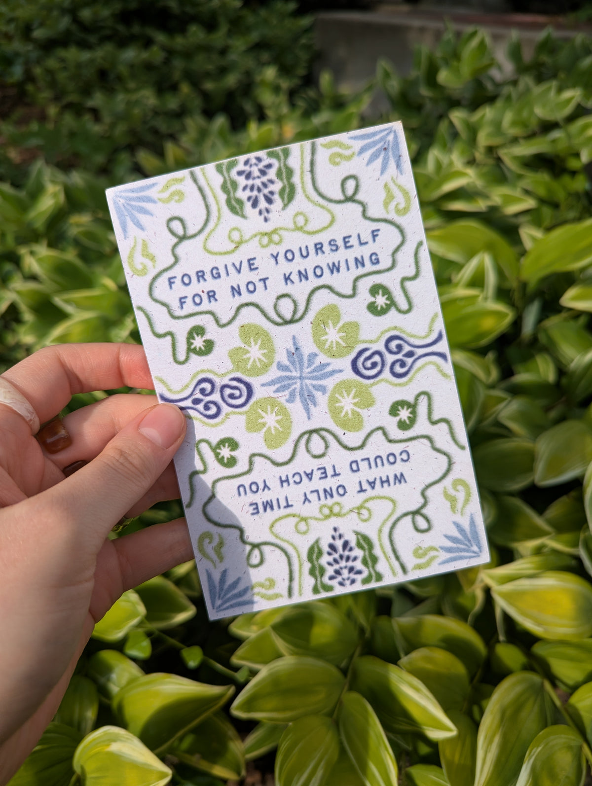 Time Teaches Postcard